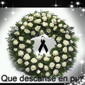 Meet your Posher, Juan pedro